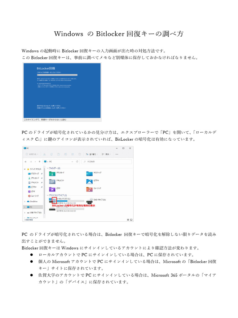 Windows Bit Locker | PDF