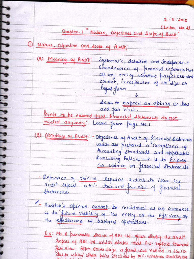 Audit Handwritten Notes | PDF