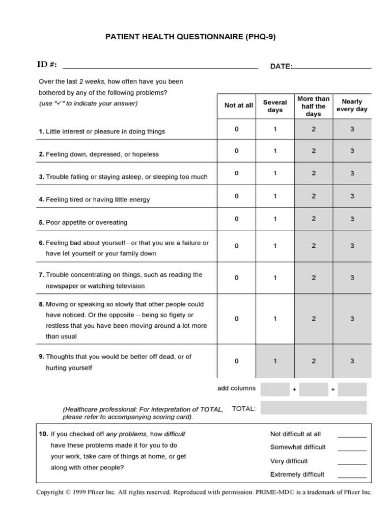 Form Questionarie | PDF