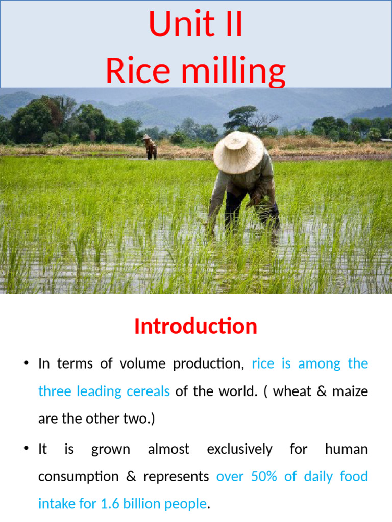 Rice Milling Processes and Techniques | PDF | Rice | Cereals