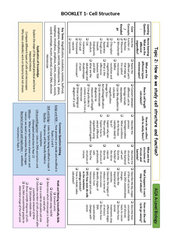 Cell Structure & Microscopy Guide | PDF | Microscope | Scanning ...