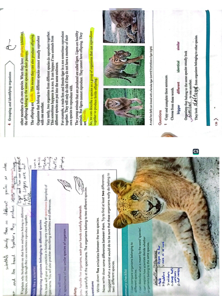 4.3 - 4.5 Textbook Work | PDF