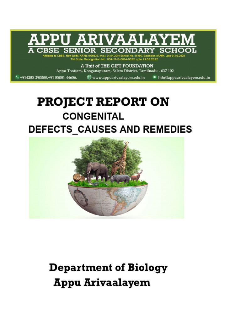 PROJECT TEMPLATE | PDF