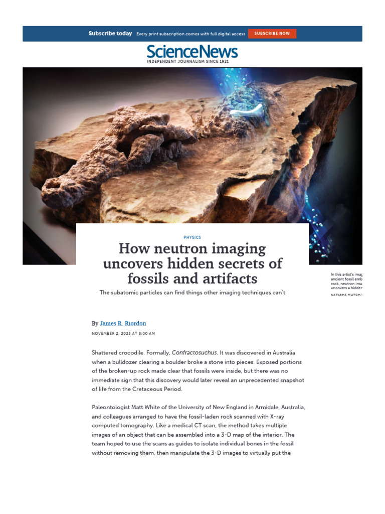 How Neutron Imaging Uncovers Hidden Secrets of Fossils and Artifacts ...