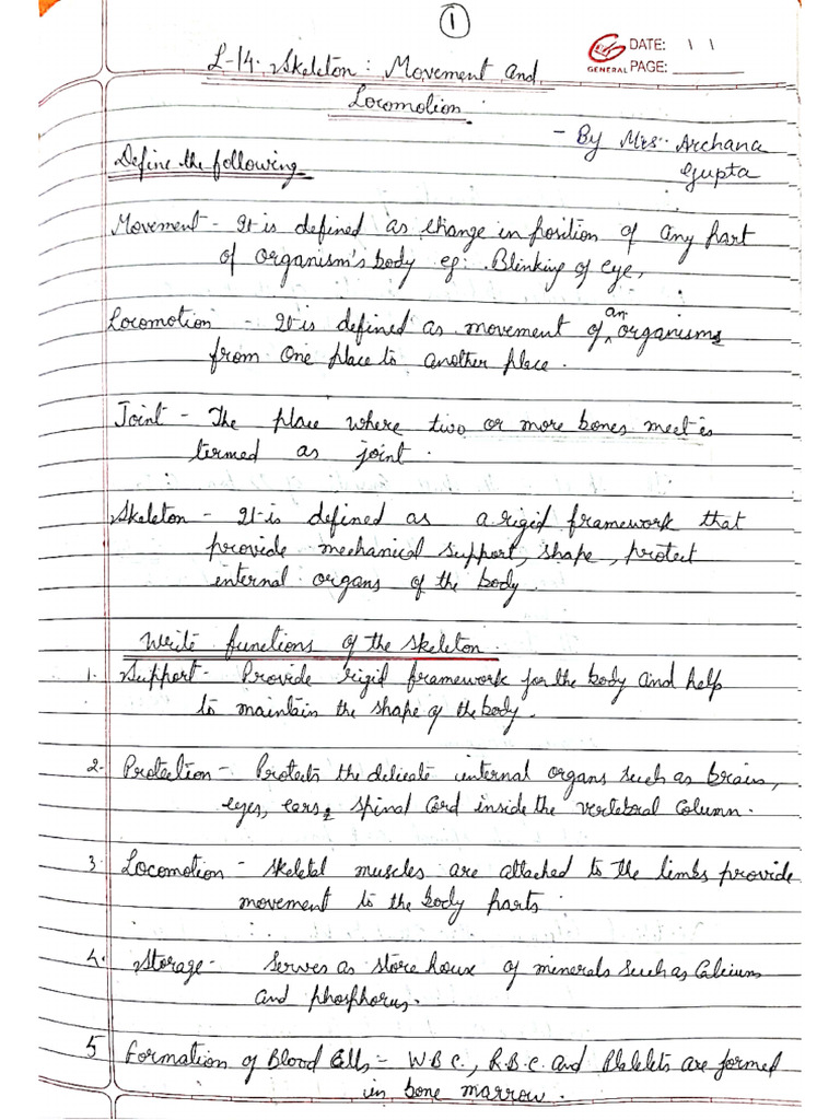 14 Bio | PDF