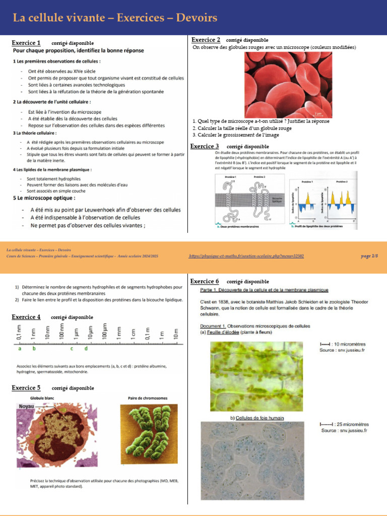Exercices sur la cellule vivante | PDF | Cellule (Biologie) | Membrane ...