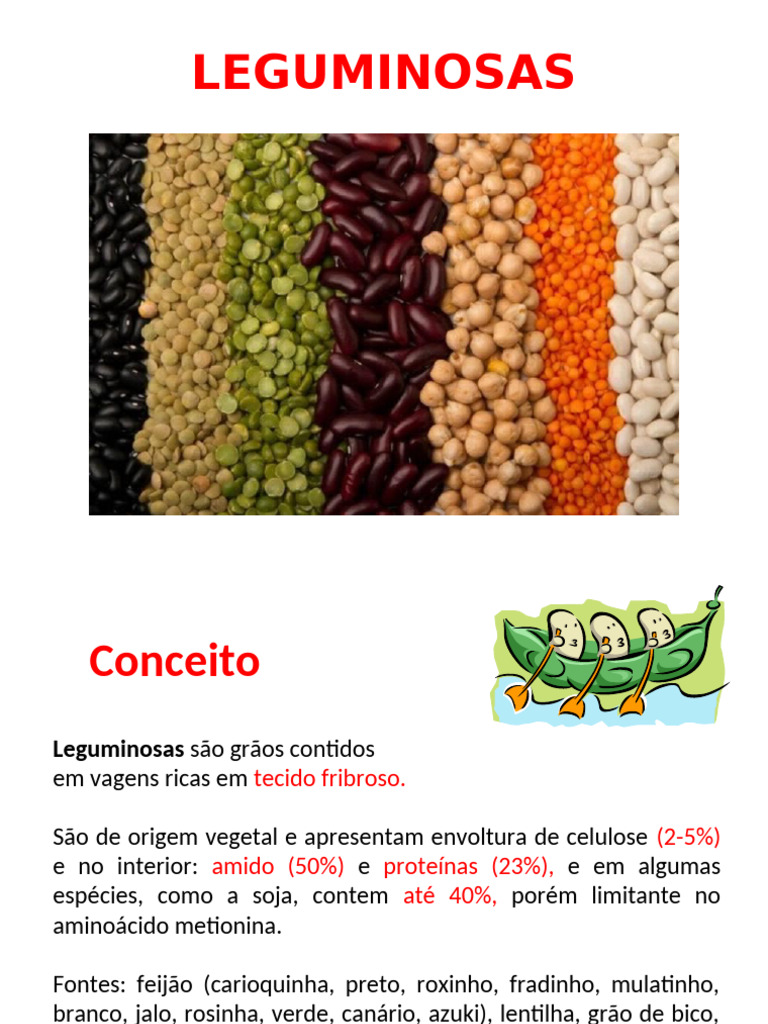 Leguminosas: Tipos e Benefícios Nutricionais | PDF | Feijão | Soja