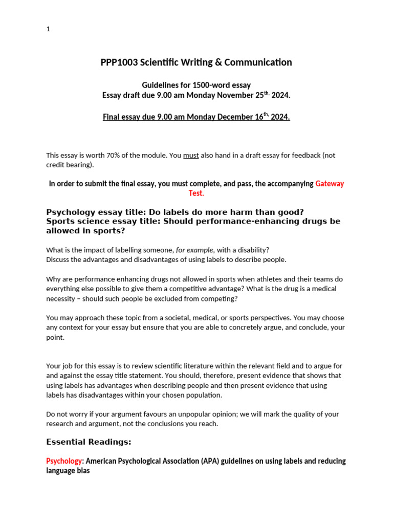 Essay guidelines 202425 | PDF | Apa Style | Essays