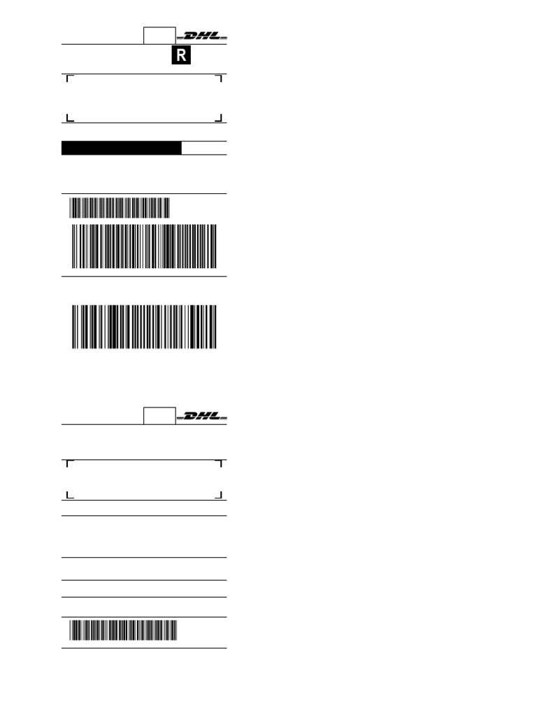 DHL Express Worldwide Shipment Label | PDF