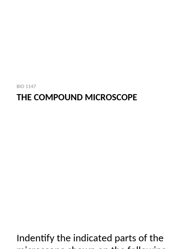 Lab Exam Review Compound Microscope Pdf Laboratory Equipment
