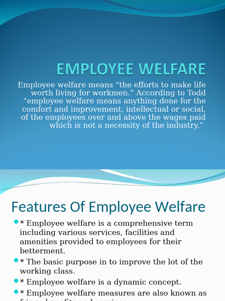 Understanding Employee Welfare Concepts | PDF | Employment | Welfare