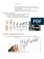El Hombre Un Mamífero Actividad 1 para 5°