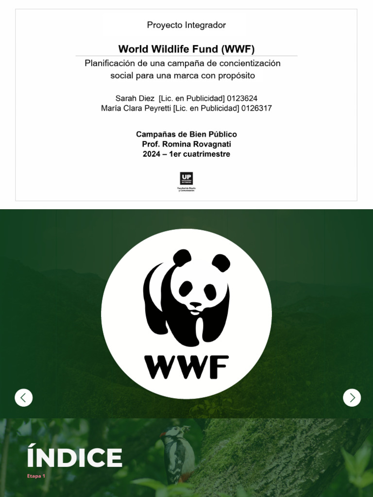 Campaña de Concientización WWF | PDF | Color | Fondo Mundial para la ...