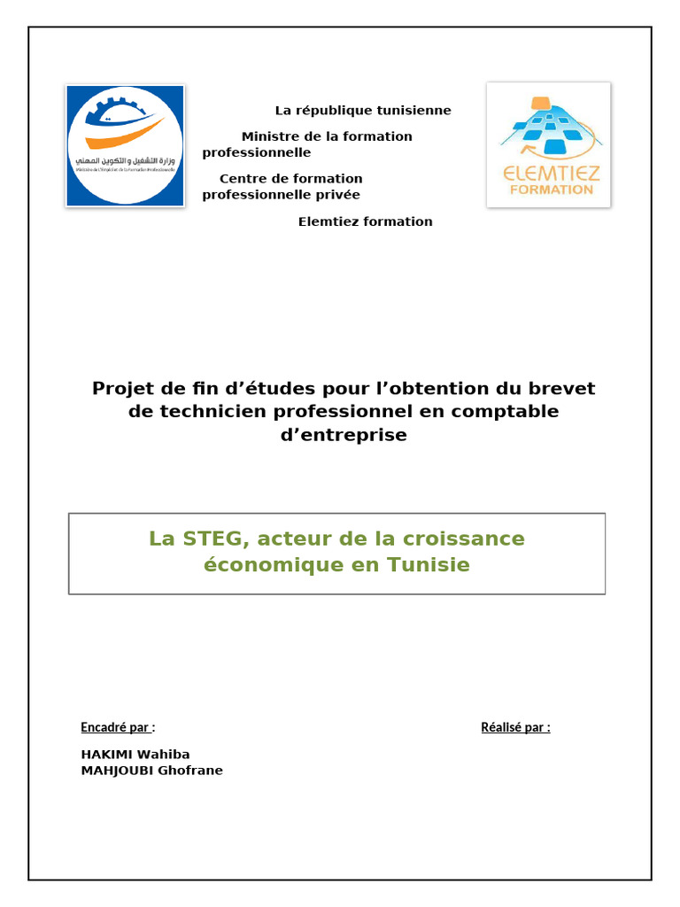 Rôle de la STEG dans l'économie tunisienne | PDF | Tunisie | Énergie ...