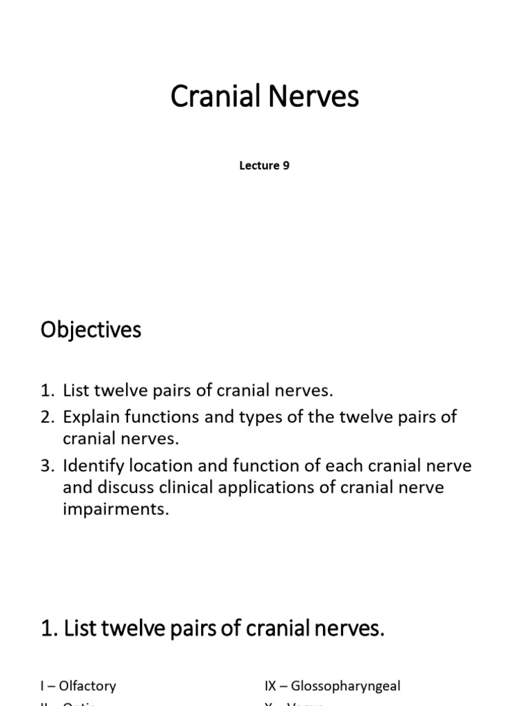 Overview of Cranial Nerves and Functions | PDF | Neuroanatomy | Human ...