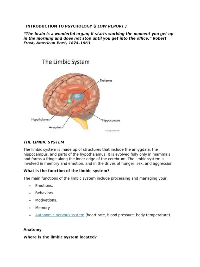 Understanding the Limbic System Functions | PDF | Cerebrum | Limbic System