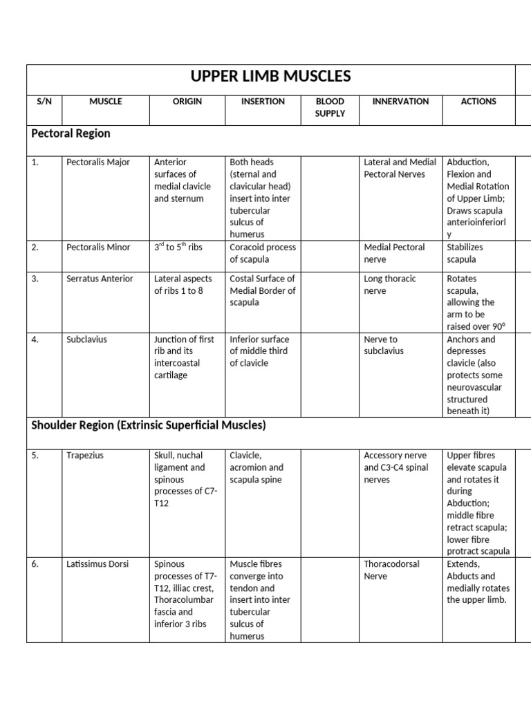 Muscle Table | PDF | Thumb | Foot