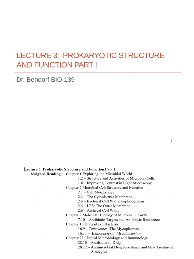 F24 Lecture 3 Prokaryotic Structure and Function Part I | PDF | Cell ...