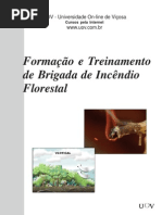 Apostila Brigada de Incendio Florestal