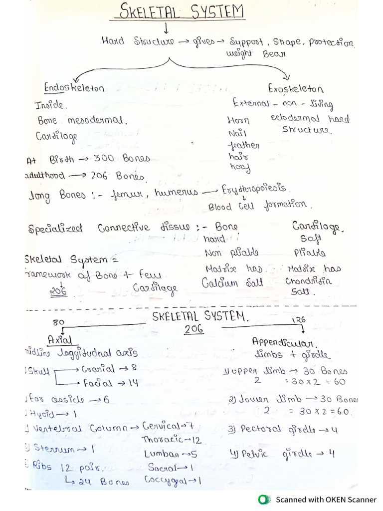 Locomotion And Movement Skeletal System Pdf