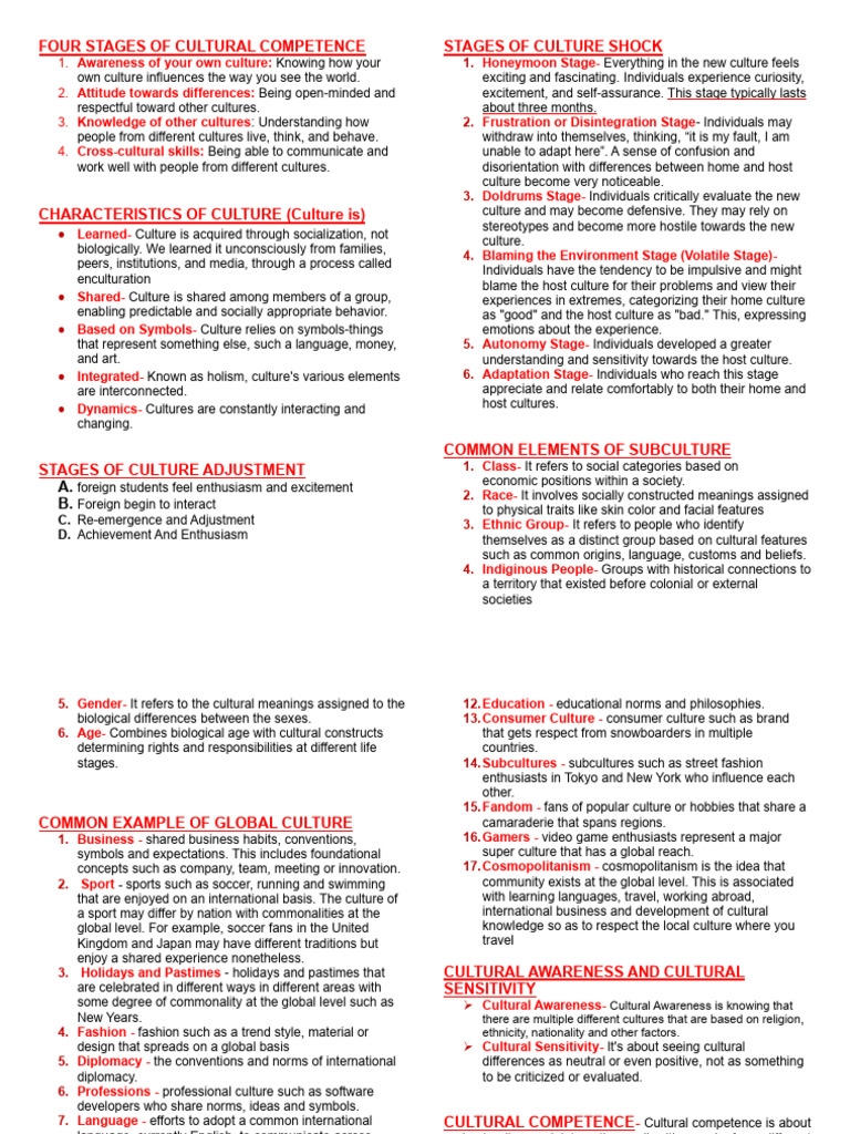Understanding Cultural Competence Stages | PDF | Gesture | Communication