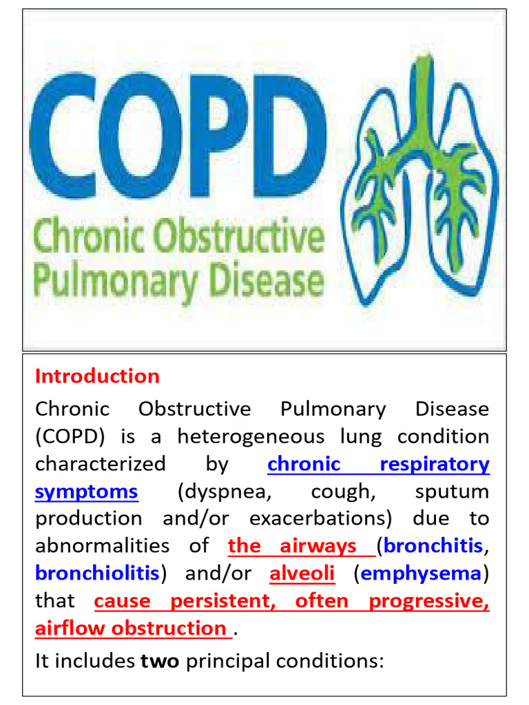 Copd - 2024 | PDF | Chronic Obstructive Pulmonary Disease | Lung