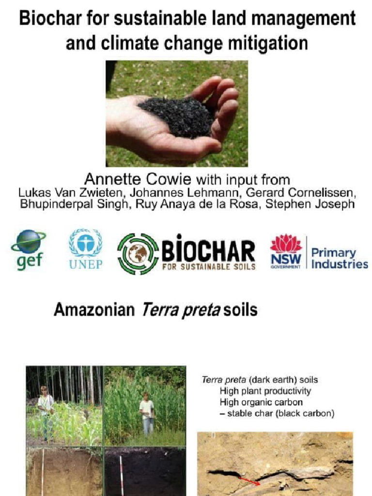 Biochar Climate and Sustainable | PDF