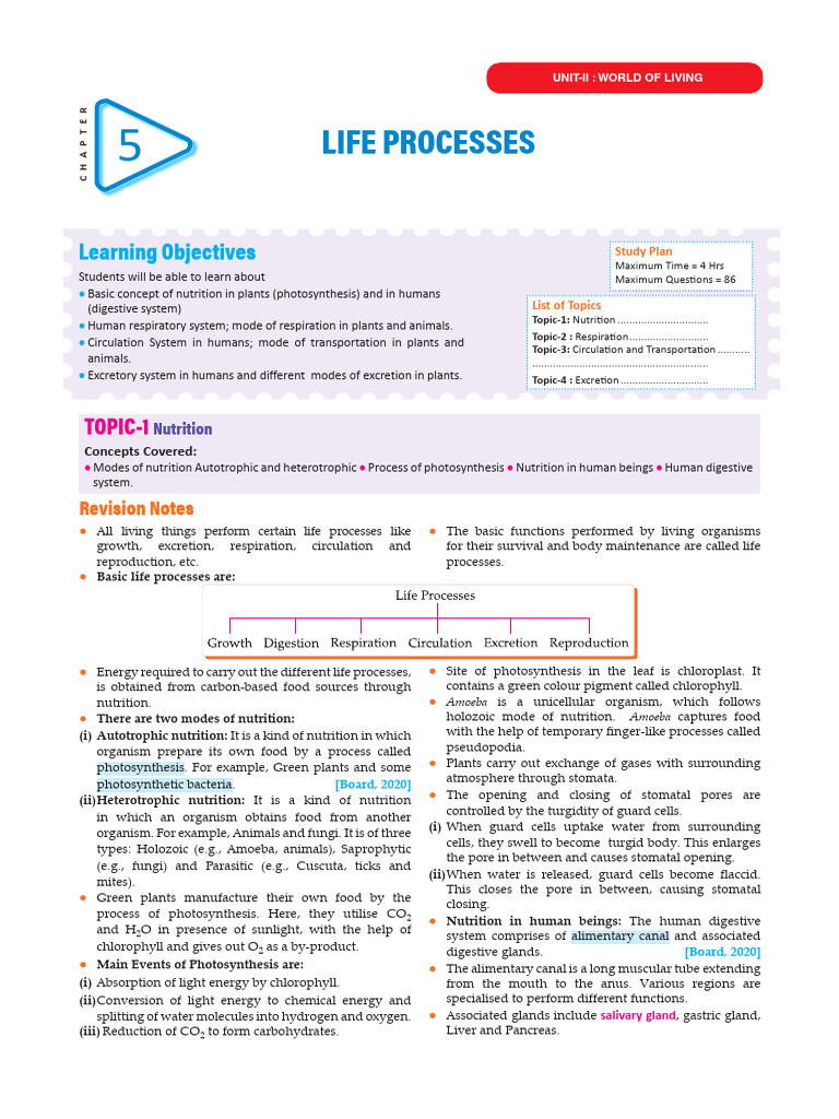 LIFE PROCESS 10th | PDF | Respiratory System | Artery