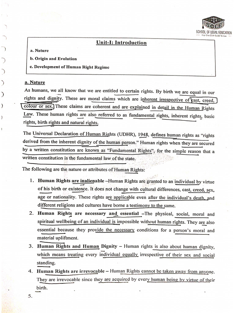 Human Rights Notes Sample | PDF