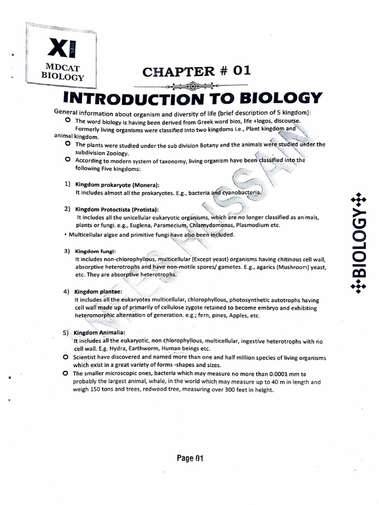 Introduction To Biology | PDF | Molecules | Cloning