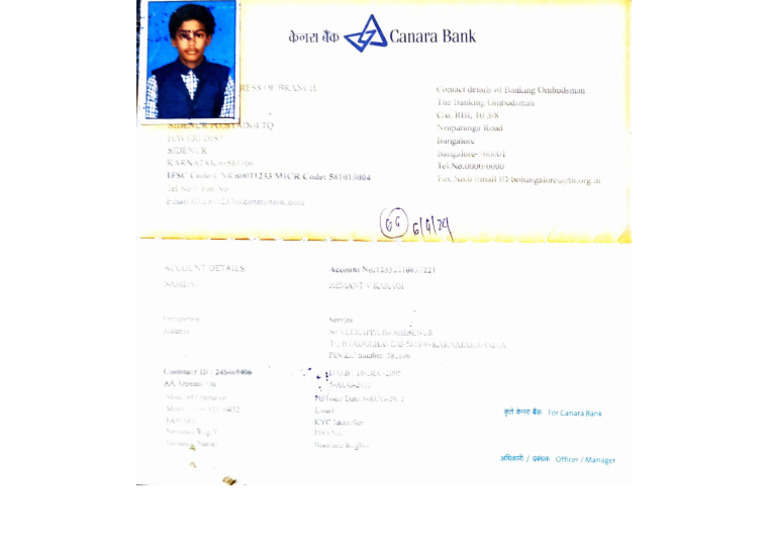 ACE Scanner Document Overview | PDF