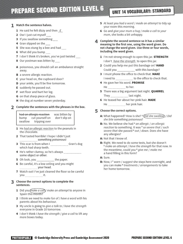 Vocabulary Exercises for Level 6 Students | PDF | Allergy