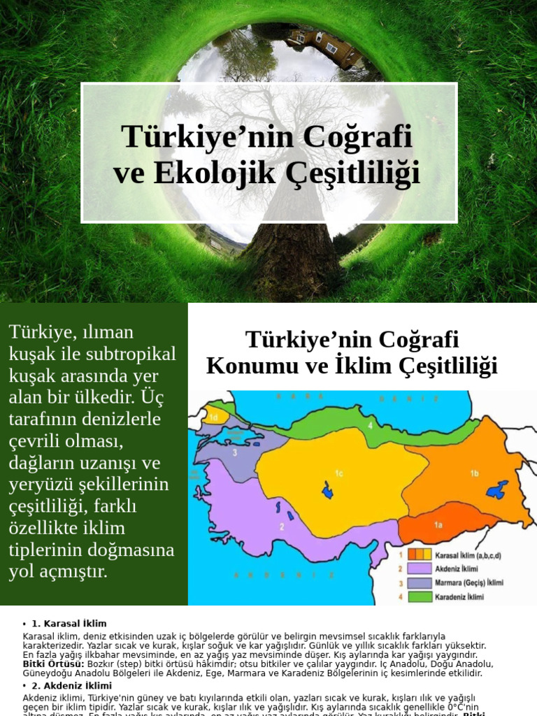 Vegetation of Türkiye | PDF