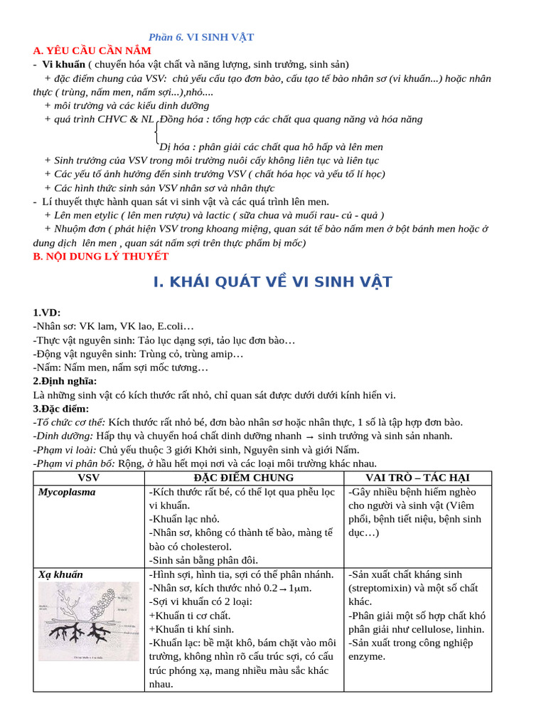 lý thuyết vi sinh vật | PDF