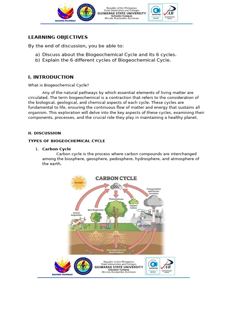 Understanding Biogeochemical Cycles | PDF | Nitrogen | Soil