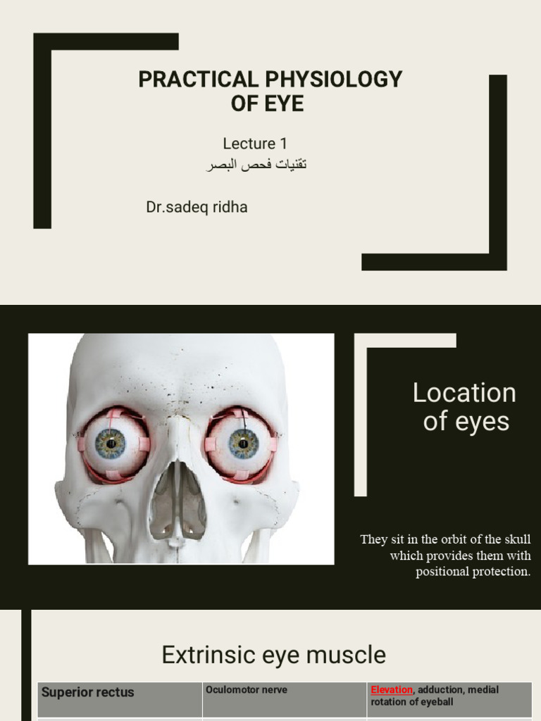 Eye Physiology: Anatomy & Functions | PDF | Human Eye | Face