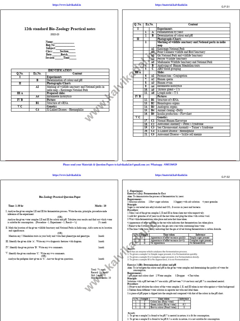 12th Bio-Zoology Practical Guide | PDF | Molecular Cloning | Chromosome