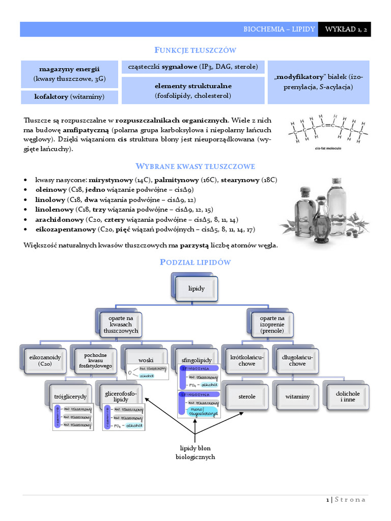 Biochemia Z Kotem Studentem-25-38 | PDF