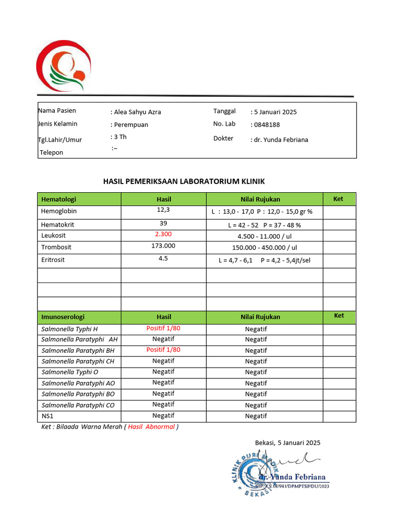 Hasil Lab Pasien Alea Sahyu Azra | PDF