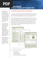 Crystal Report Reportdesign - Datasheet