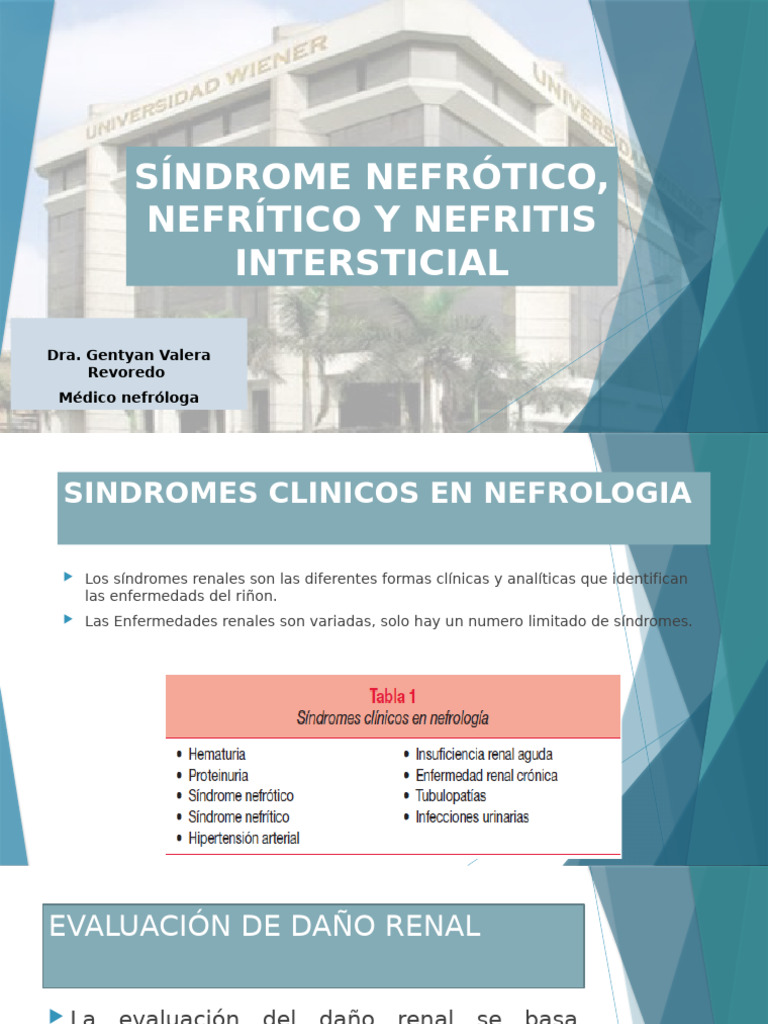 Síndromes Renales: Nefrosis y Hematuria | PDF | Enfermedades y ...