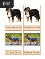 Dog Breeds | PDF