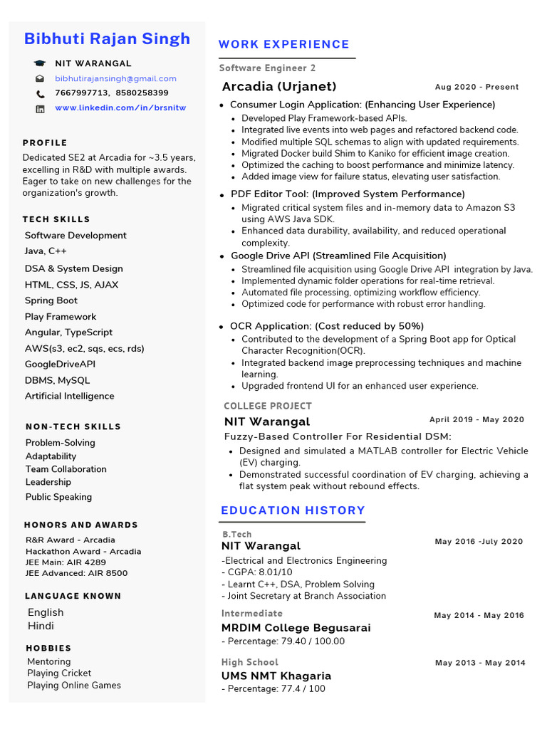 Software Engineer Profile and Skills | PDF | Optical Character ...