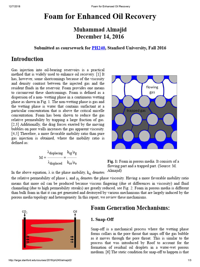 Foam For Enhanced Oil Recovery | PDF | Foam | Petroleum Reservoir