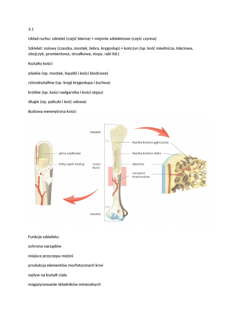 Biologia Uklad Ruchu | PDF