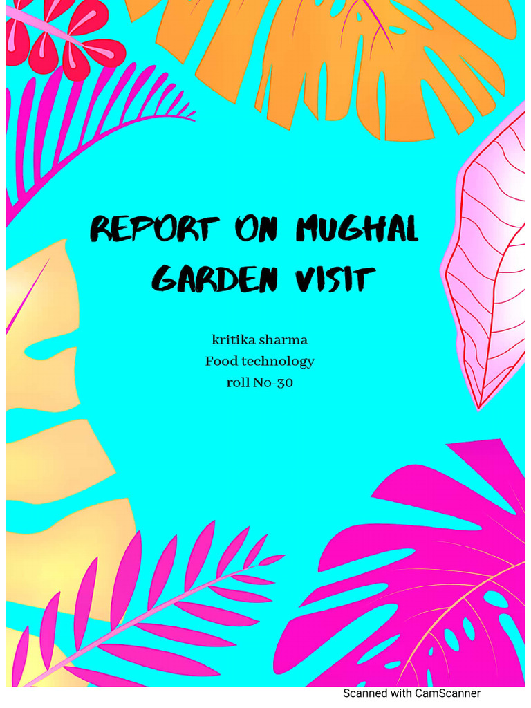 Evs. Report | PDF