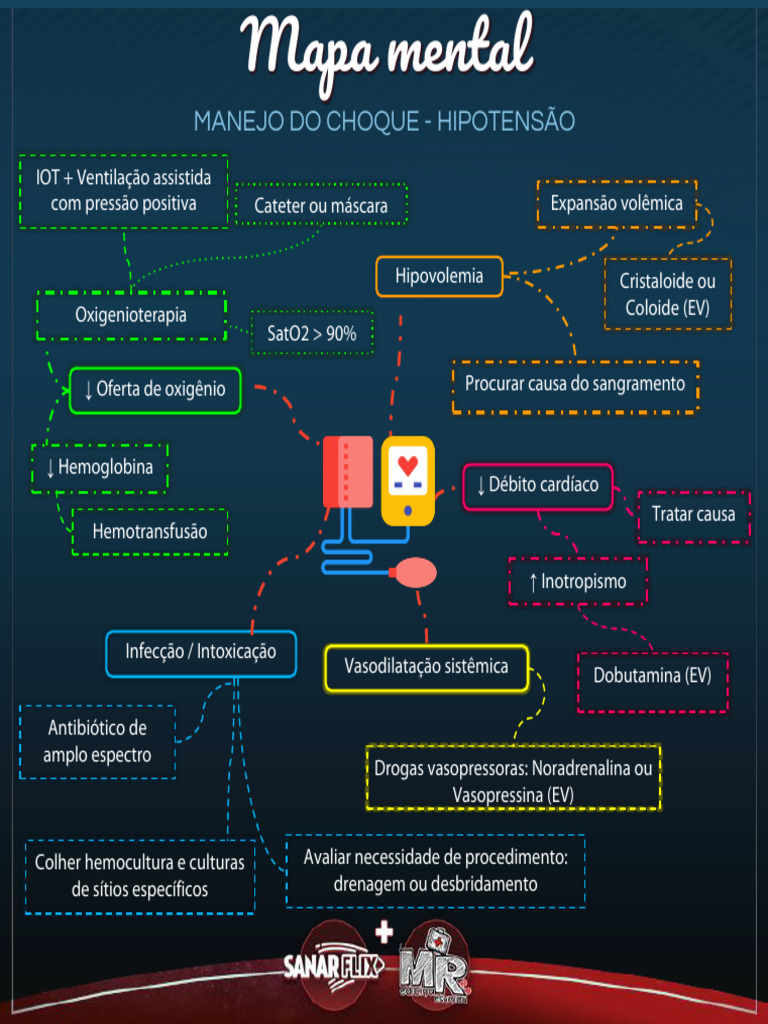 Manejo do Choque Hipovolêmico | PDF