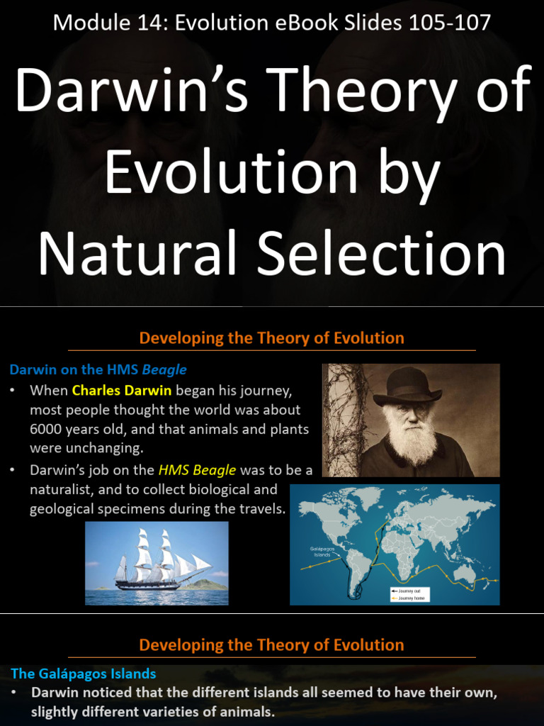NOTES Mod 14 Evolution | PDF | Evolution | Natural Selection