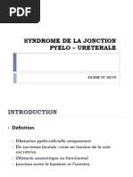 SBAU | PDF | Appareil urinaire | Miction
