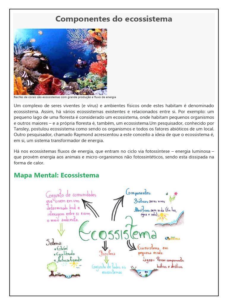 Componentes Do Ecossistema | PDF